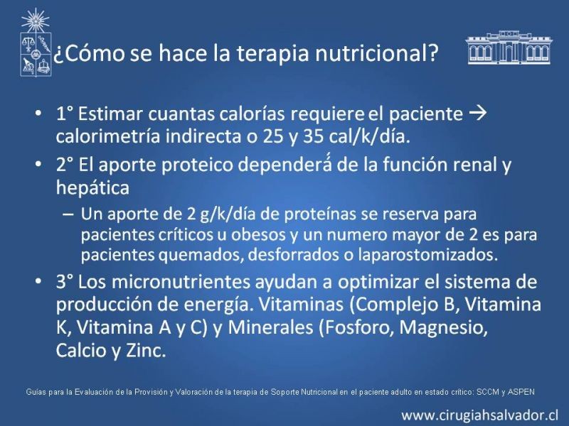 Diapositiva 16 de Nutrición en paciente crítico