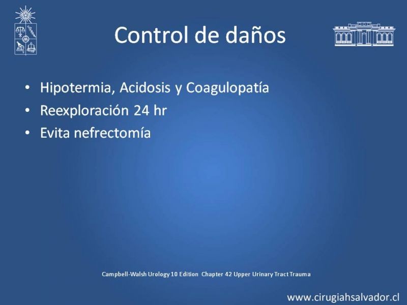 Diapositiva 19 de Manejo Quirúrgico del Trauma Renal
