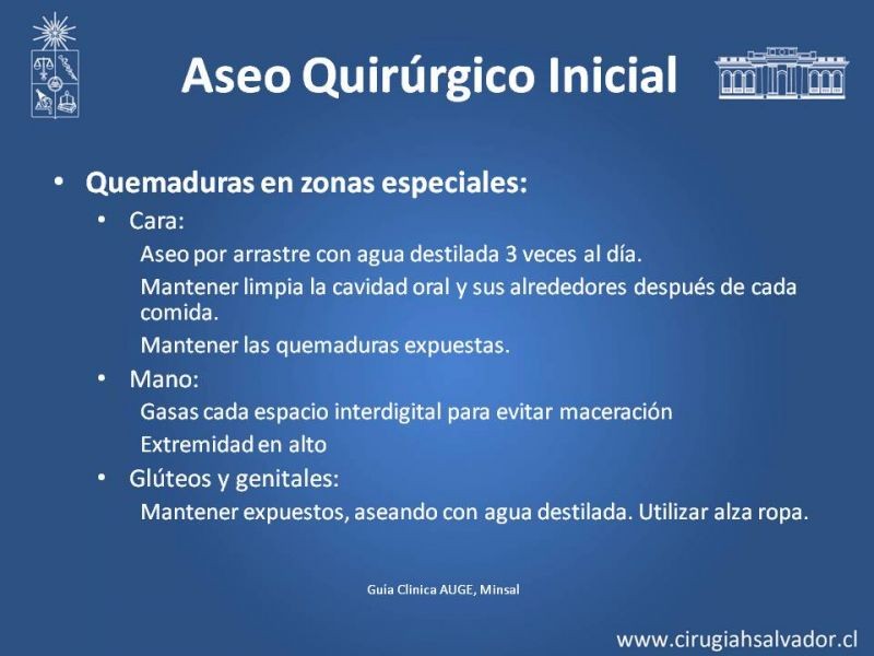 Diapositiva 14 de Manejo Quirúrgico del Gran Quemado