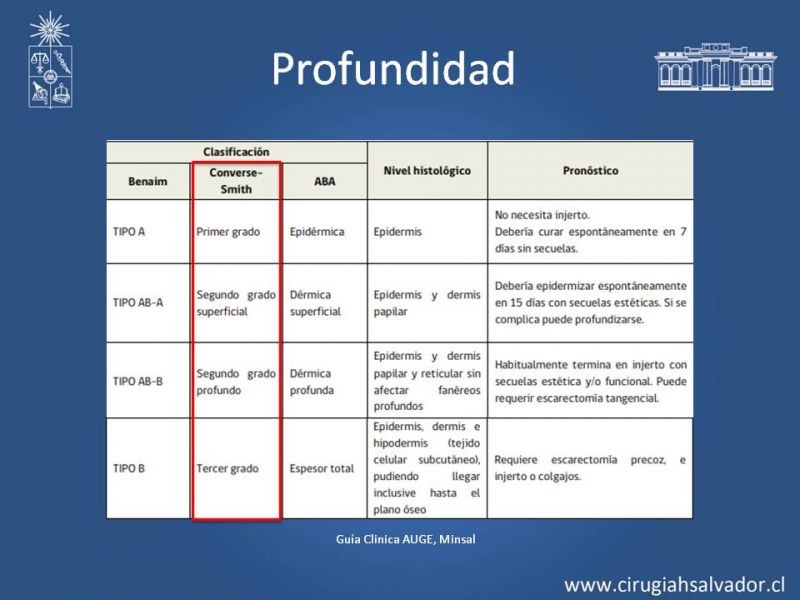 Diapositiva 6 de Manejo Quirúrgico del Gran Quemado