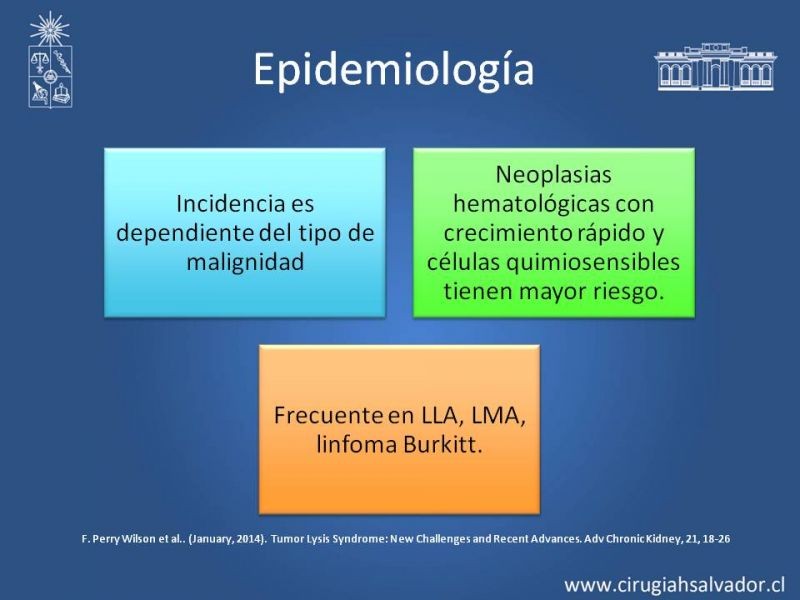 Diapositiva 4 de Síndrome de Lisis Tumoral