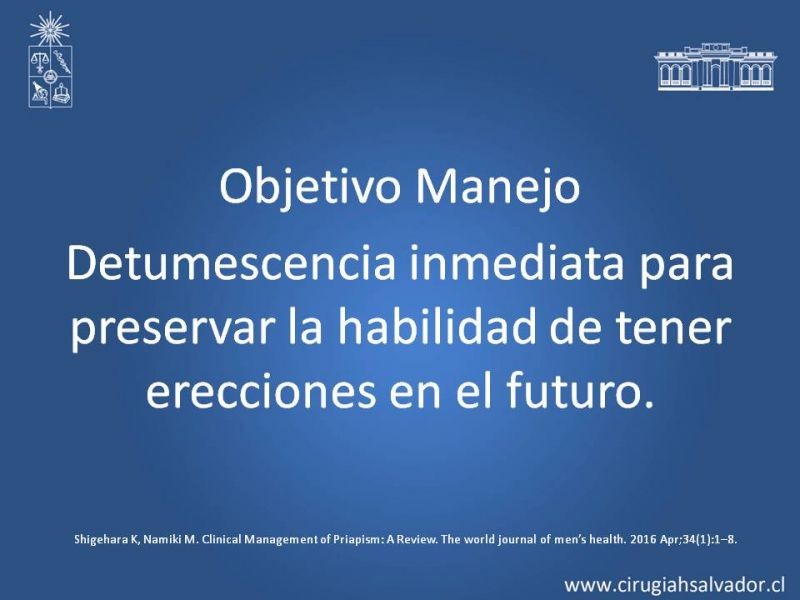 Diapositiva 16 de Priapismo