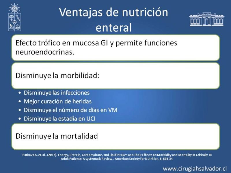 Diapositiva 8 de Nutrición en paciente crítico