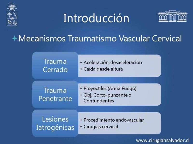 Diapositiva 2 de Anatomía Quirúrgica y Accesos de Carótida, vertebrales y subclavia