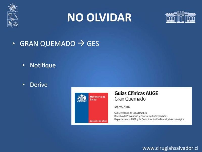 Diapositiva 31 de Manejo Quirúrgico del Gran Quemado