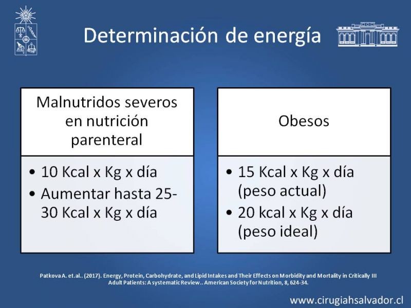 Diapositiva 19 de Nutrición en paciente crítico