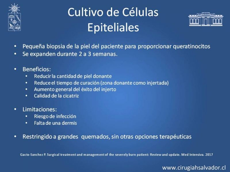 Diapositiva 28 de Manejo Quirúrgico del Gran Quemado