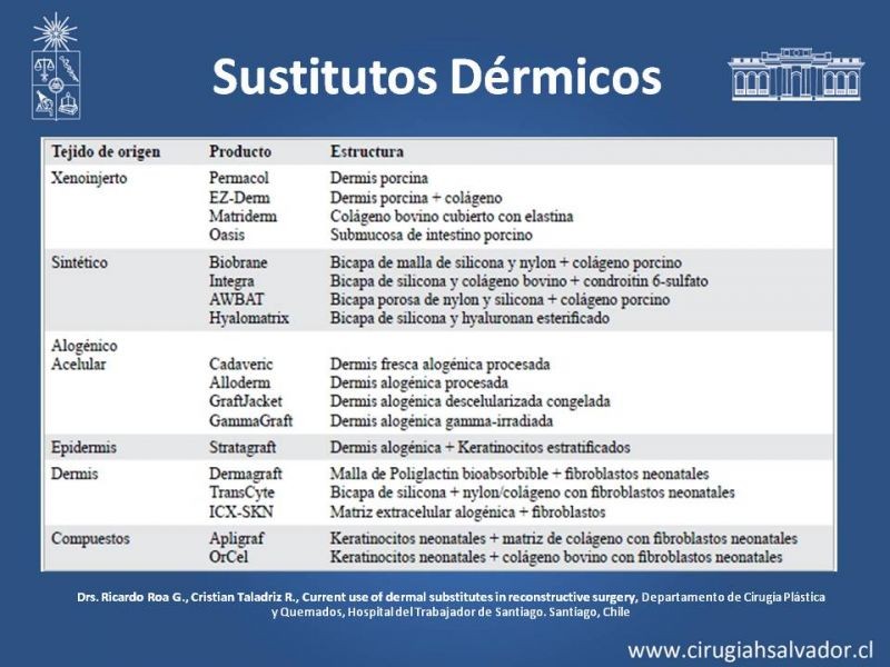 Diapositiva 19 de Manejo Quirúrgico del Gran Quemado