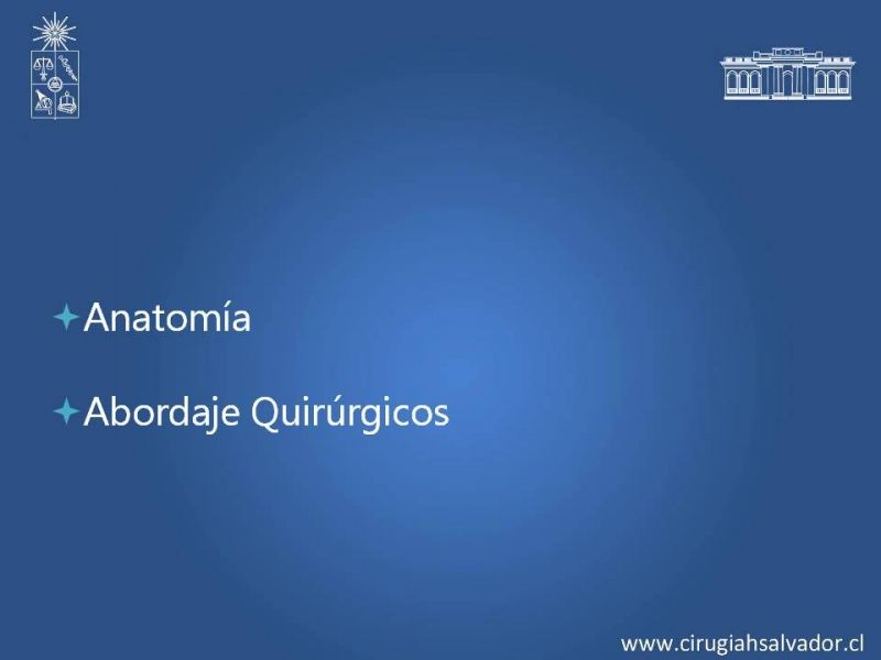 Diapositiva 3 de Anatomía Quirúrgica y Accesos de Carótida, vertebrales y subclavia
