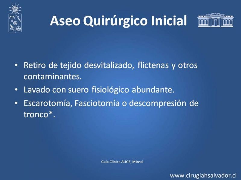 Diapositiva 11 de Manejo Quirúrgico del Gran Quemado