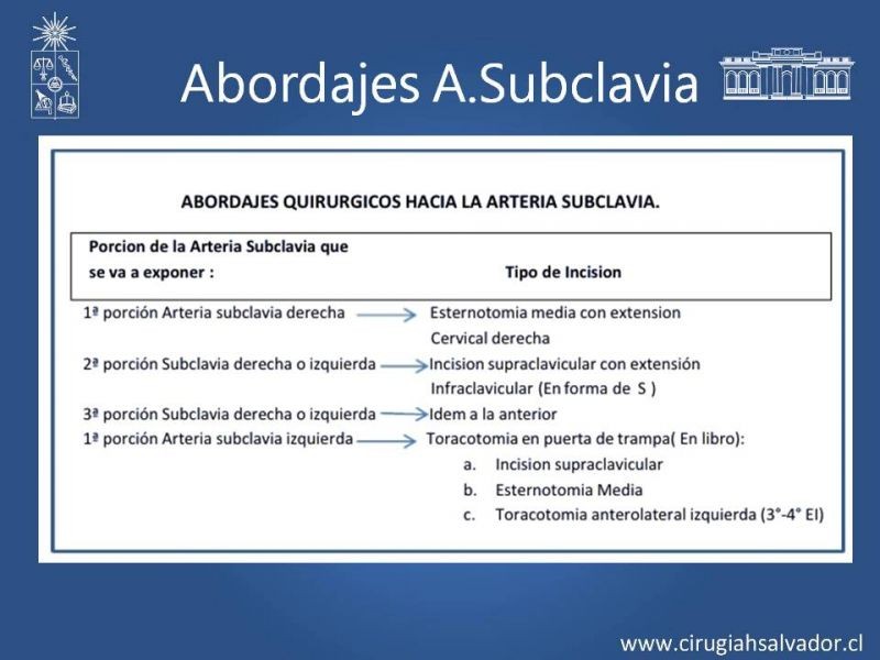 Diapositiva 25 de Anatomía Quirúrgica y Accesos de Carótida, vertebrales y subclavia