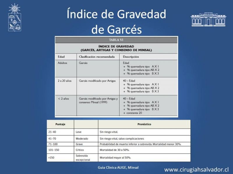 Diapositiva 7 de Manejo Quirúrgico del Gran Quemado