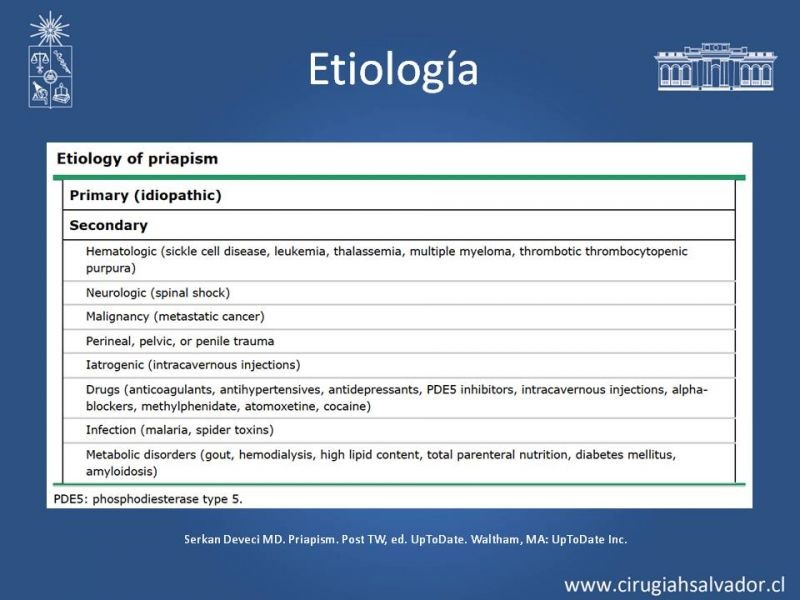 Diapositiva 8 de Priapismo