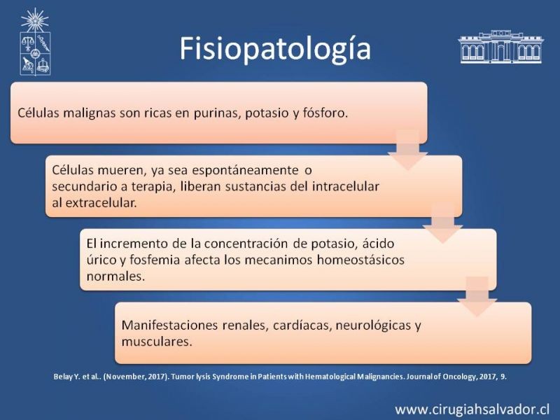Diapositiva 9 de Síndrome de Lisis Tumoral