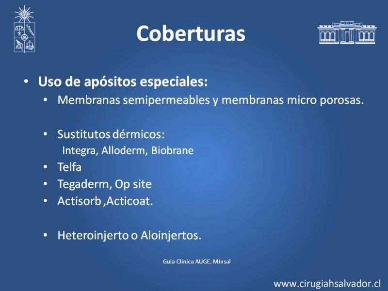 Diapositiva 18 de Manejo Quirúrgico del Gran Quemado