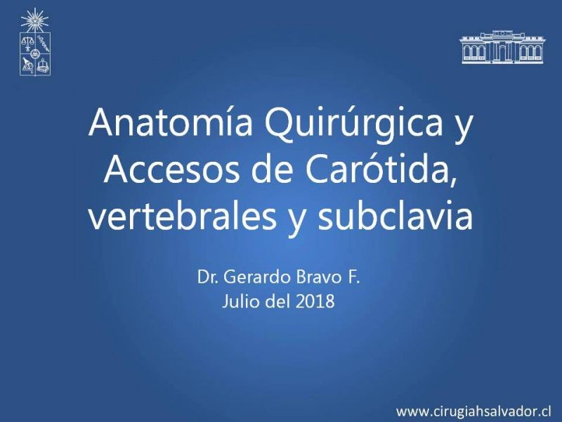 Diapositiva 34 de Anatomía Quirúrgica y Accesos de Carótida, vertebrales y subclavia