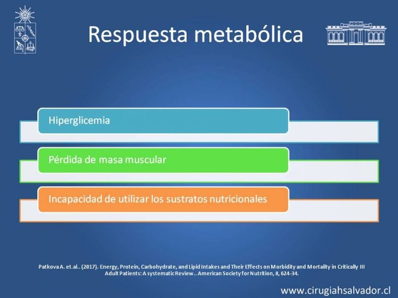 Diapositiva 4 de Nutrición en paciente crítico