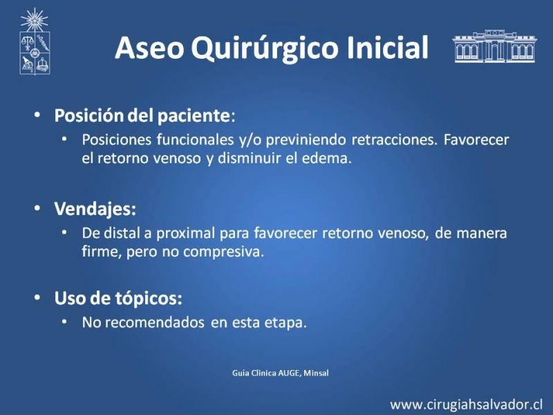 Diapositiva 13 de Manejo Quirúrgico del Gran Quemado