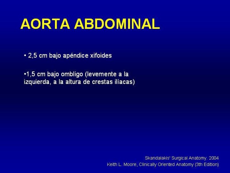 Diapositiva 5 de Anatomía grandes vasos abdominales