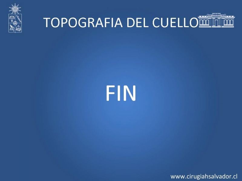 Diapositiva 29 de Topografía del cuello