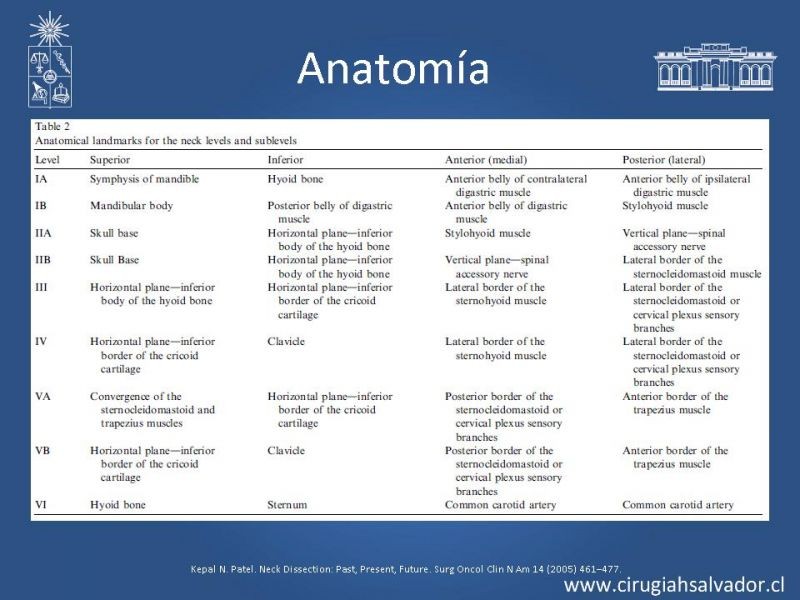 Diapositiva 4 de Disecciones ganglionares de cuello