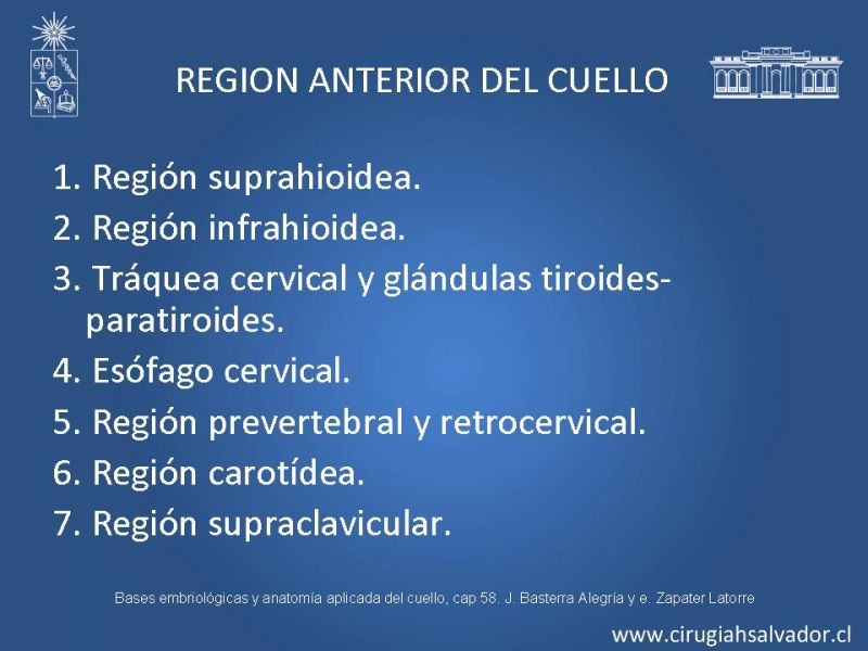 Diapositiva 4 de Topografía del cuello