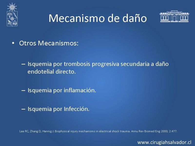 Diapositiva 15 de Lesiones Eléctricas Severas