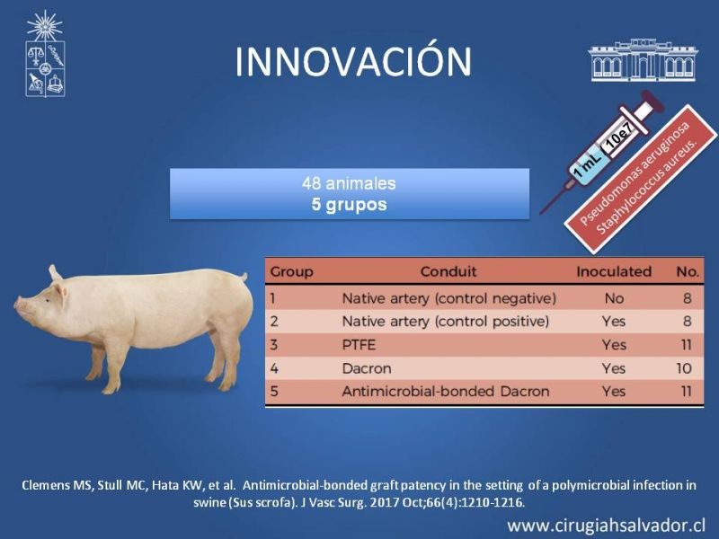 Diapositiva 39 de Infección de prótesis vasculares