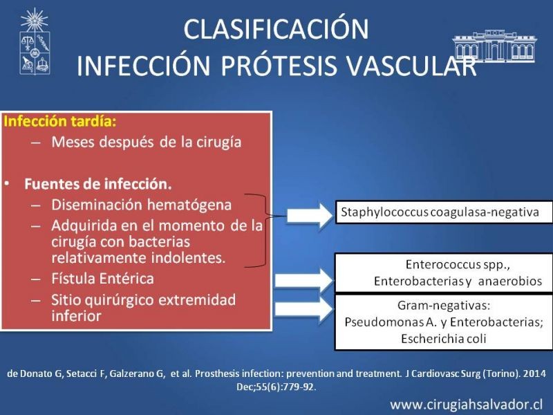 Diapositiva 26 de Infección de prótesis vasculares
