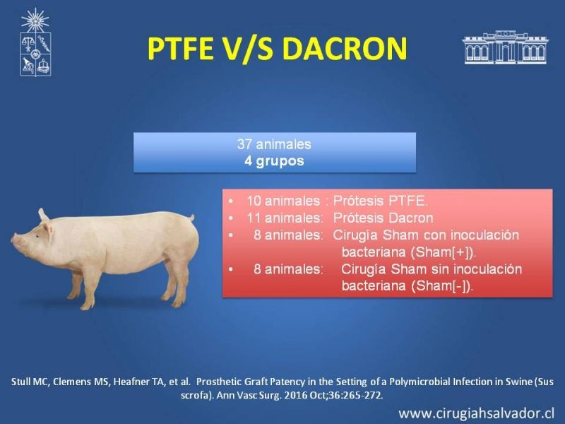 Diapositiva 15 de Infección de prótesis vasculares