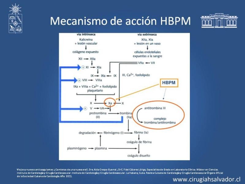 Diapositiva 9 de Anticoagulantes tradicionales y nuevos