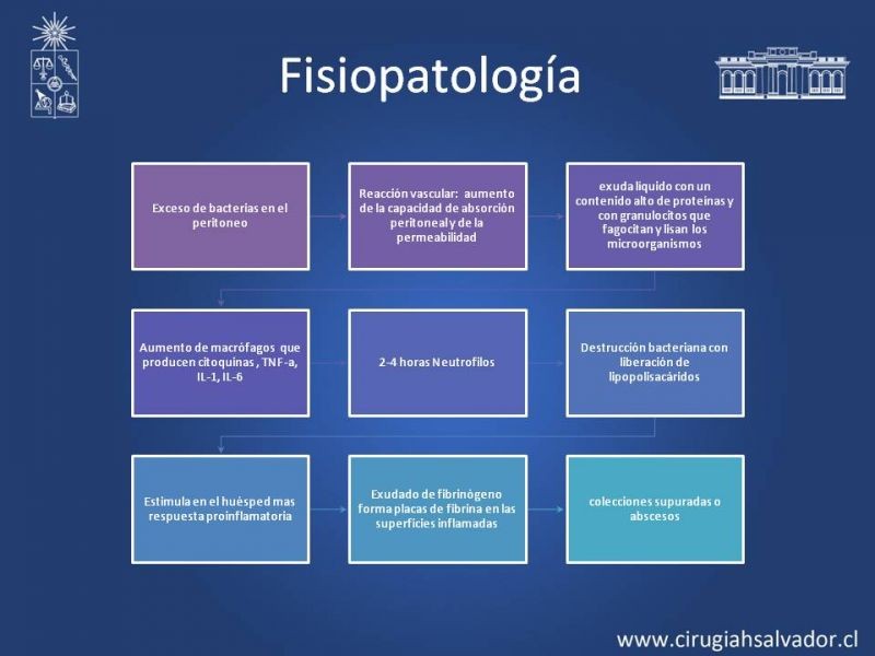 Diapositiva 8 de Peritonitis Secundaria y Terciaria