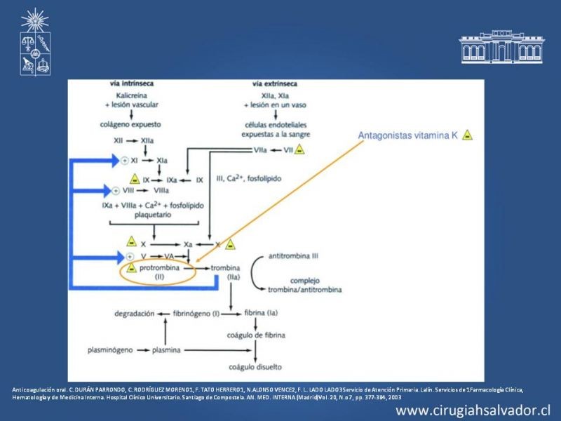 Diapositiva 16 de Anticoagulantes tradicionales y nuevos