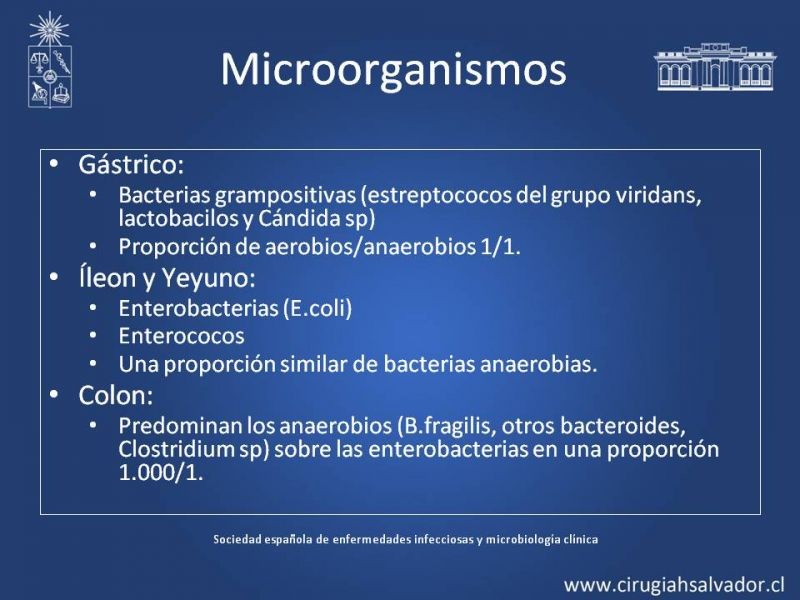 Diapositiva 17 de Peritonitis Secundaria y Terciaria