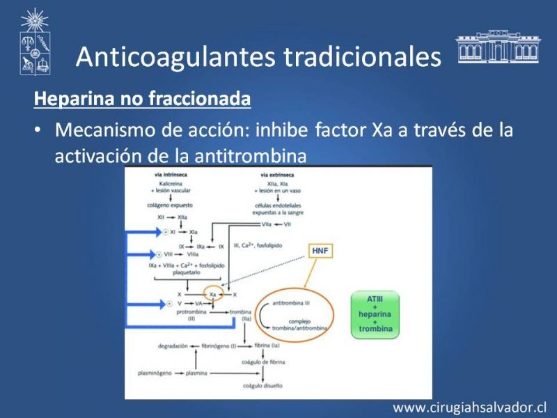 Diapositiva 4 de Anticoagulantes tradicionales y nuevos