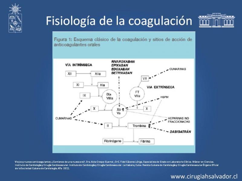 Diapositiva 3 de Anticoagulantes tradicionales y nuevos