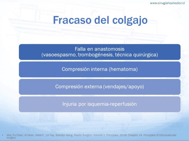 Diapositiva 25 de Colgajos MicroquirúrgicosColgajos Microquirúrgicos