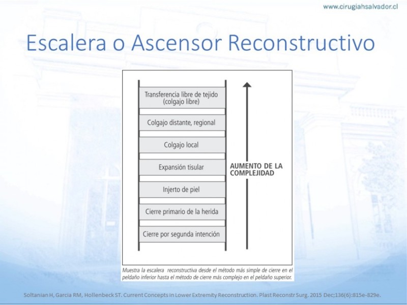 Diapositiva 5 de Tipos de Reconstrucción Facial