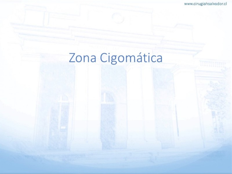 Diapositiva 47 de Tipos de Reconstrucción Facial
