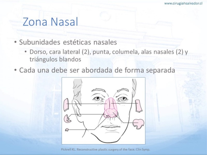 Diapositiva 25 de Tipos de Reconstrucción Facial