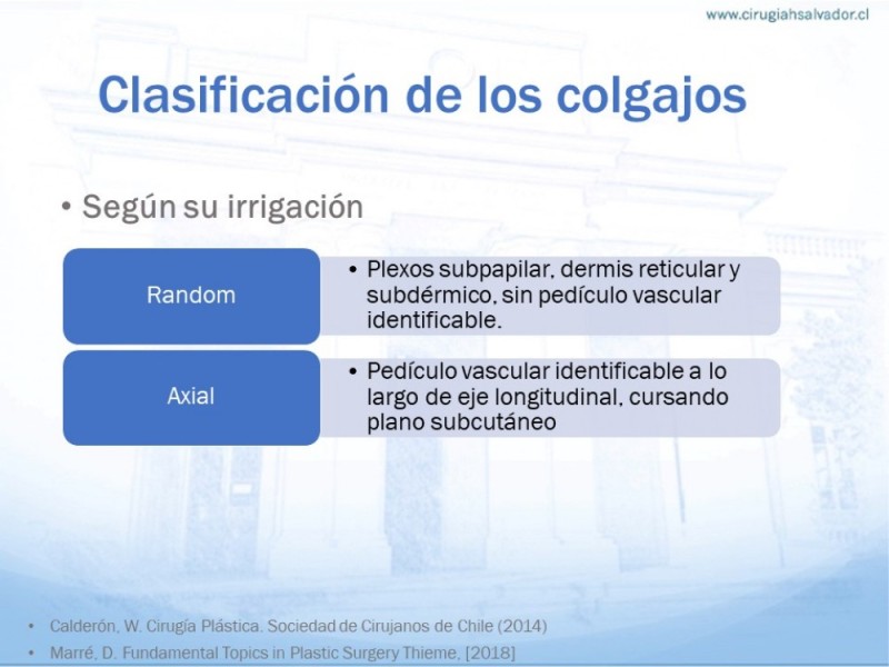 Diapositiva 2 de Colgajos MicroquirúrgicosColgajos Microquirúrgicos