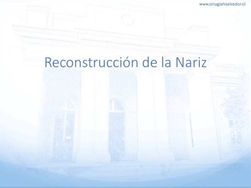 Diapositiva 24 de Tipos de Reconstrucción Facial