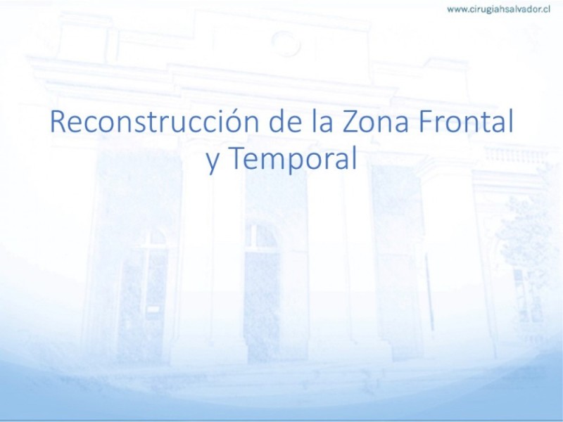 Diapositiva 14 de Tipos de Reconstrucción Facial