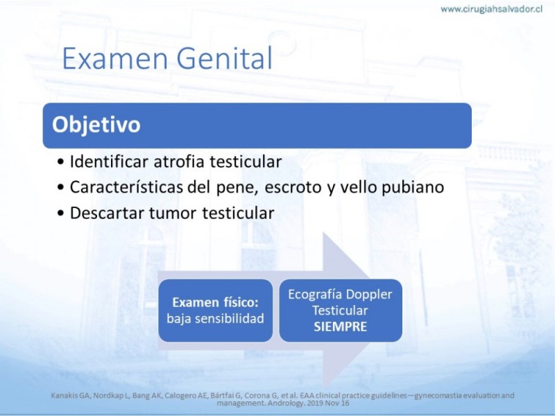 Diapositiva 15 de Ginecomastia