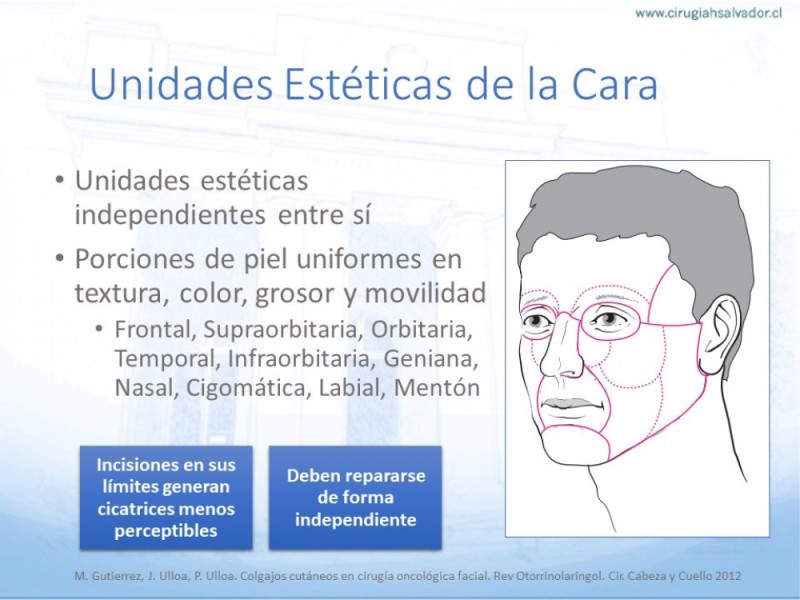 Diapositiva 12 de Tipos de Reconstrucción Facial
