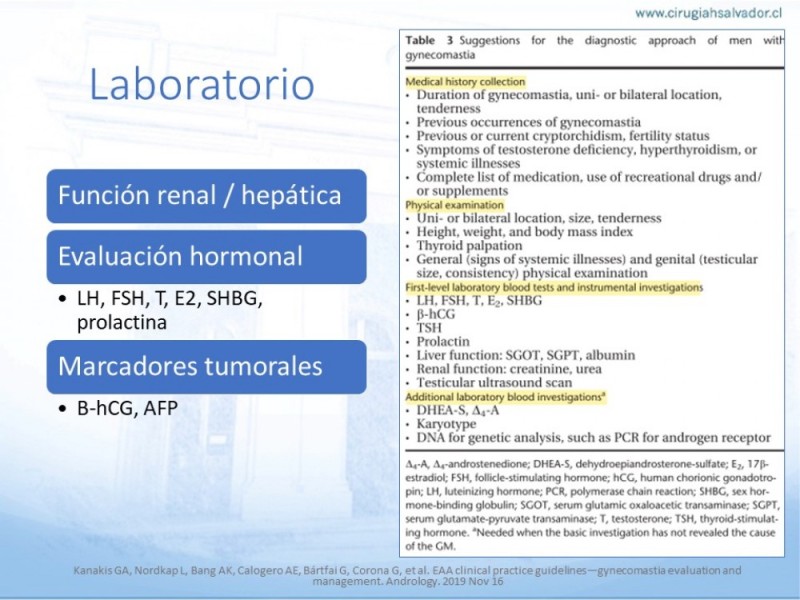 Diapositiva 16 de Ginecomastia
