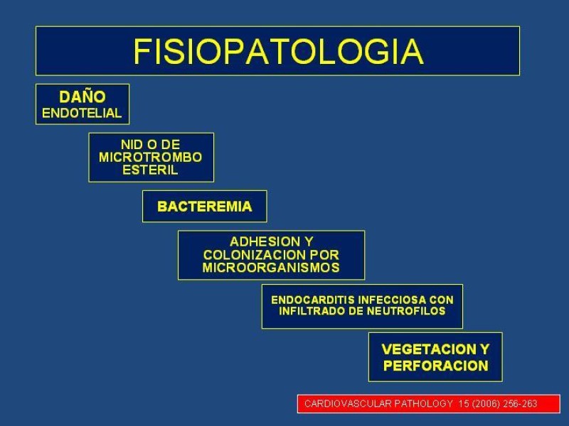 Diapositiva 4 de Endocarditis Infecciosa