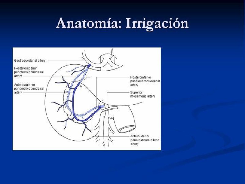 Diapositiva 8 de Trauma Pancreato-duodenal