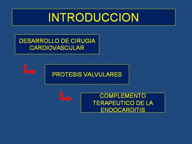 Diapositiva 2 de Endocarditis Infecciosa