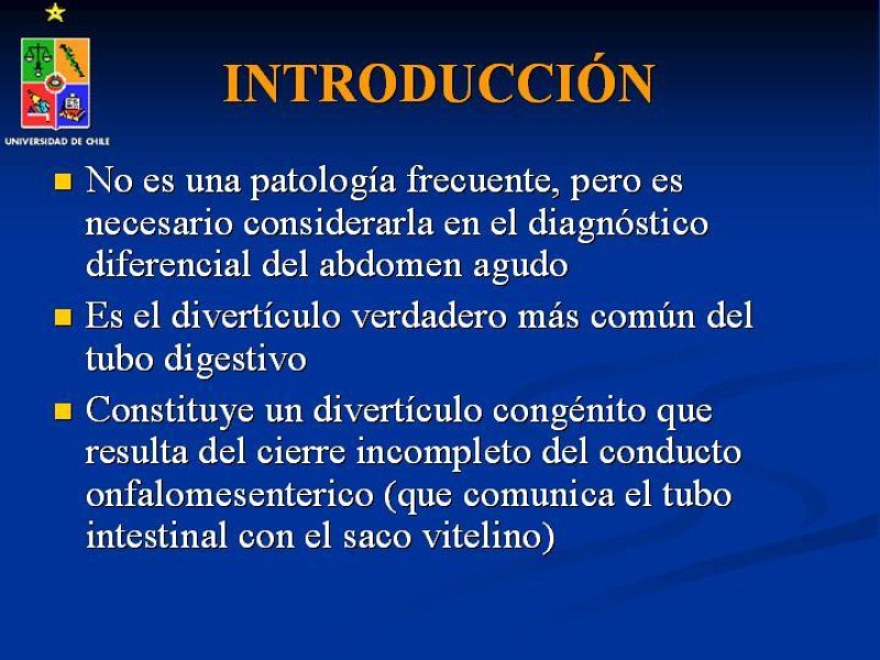 Diapositiva 2 de Divertículo de Meckel
